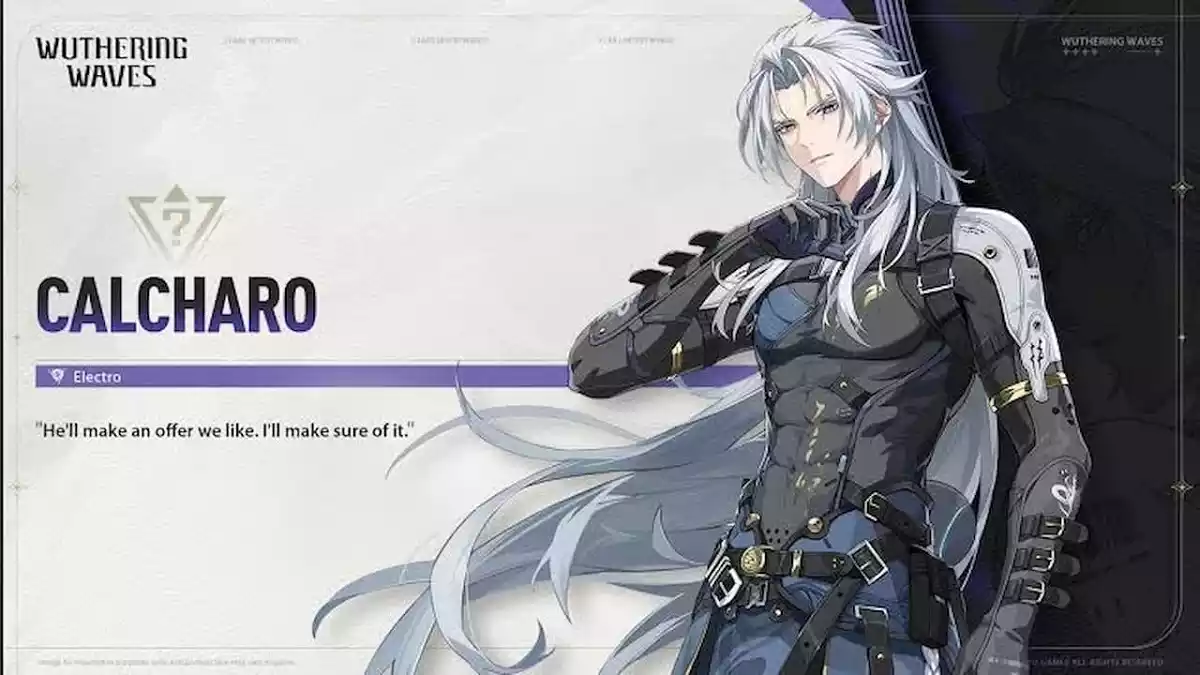 Calcharo tier list wuthering waves