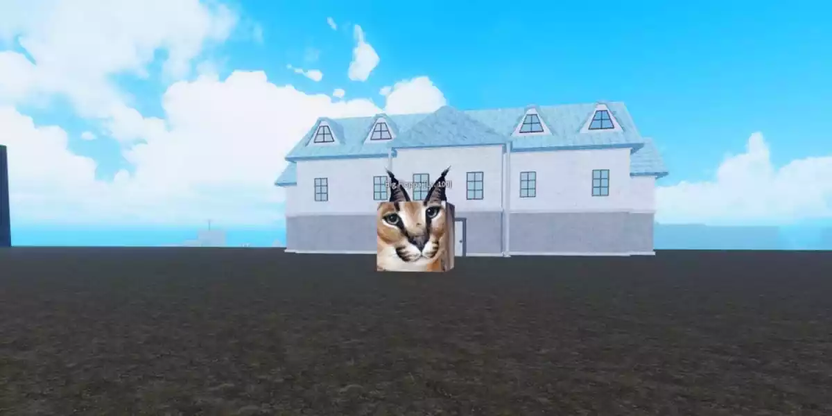 Meme Sea Dinheiro Missões de luta contra chefes