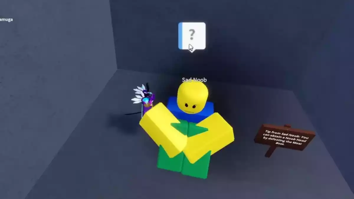 Meme Sea Noob NPC triste