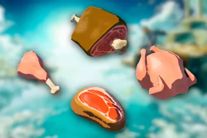 The Legend of Zelda Tears of the Kingdom Todas as Carnes