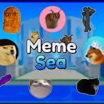 tier list meme sea frutas poderes