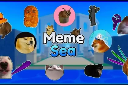 tier list meme sea frutas poderes