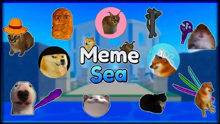 tier list meme sea frutas poderes